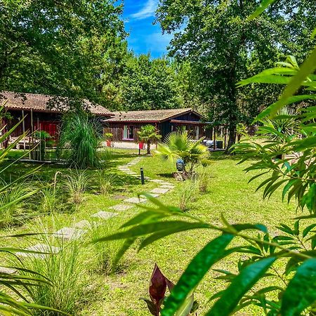 House De La Canopee, Swimming Pool, Lake, Forest, Large Garden And Wifi オータン エクステリア 写真