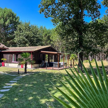 House De La Canopee, Swimming Pool, Lake, Forest, Large Garden And Wifi オータン エクステリア 写真