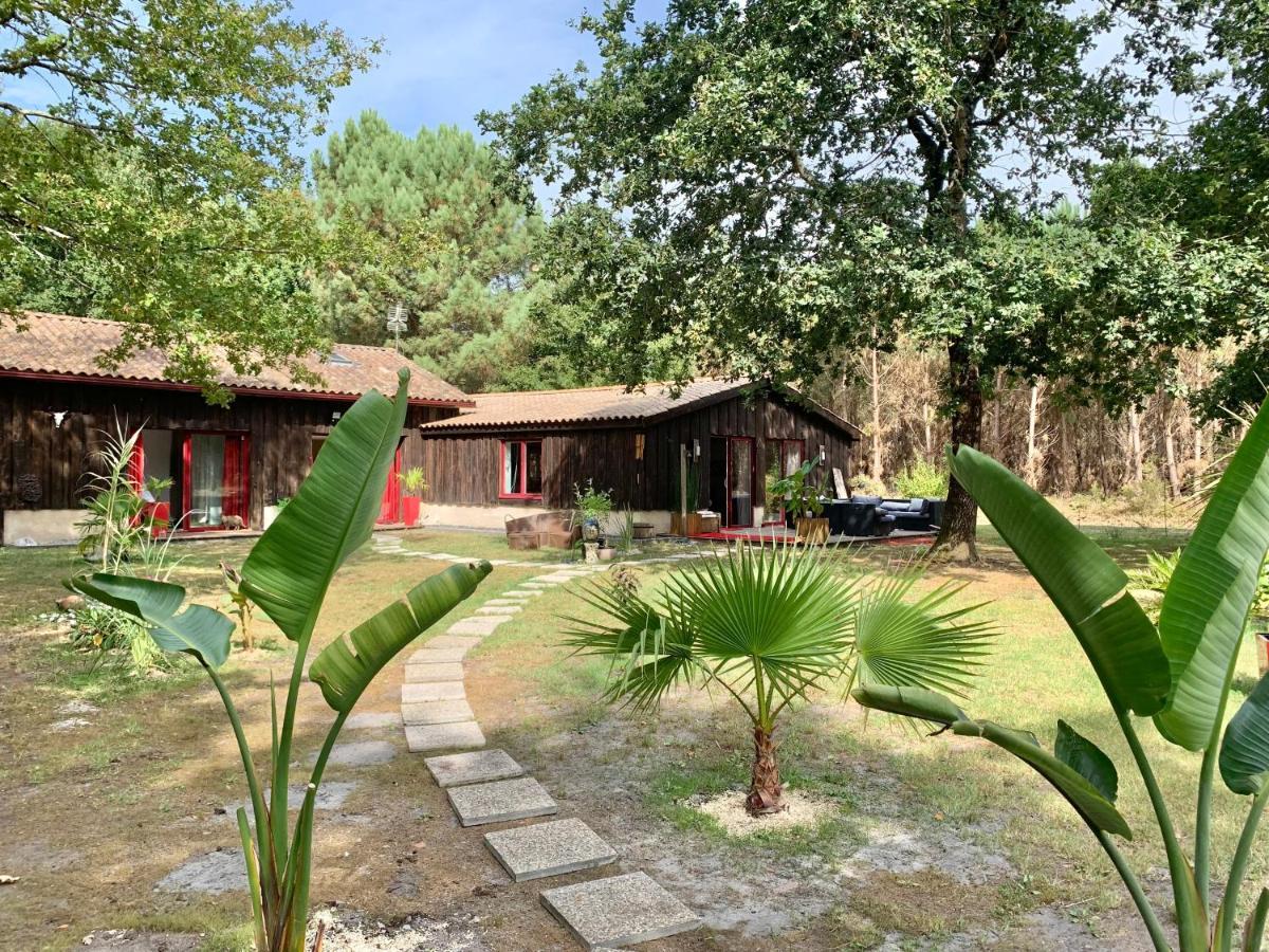 House De La Canopee, Swimming Pool, Lake, Forest, Large Garden And Wifi オータン エクステリア 写真