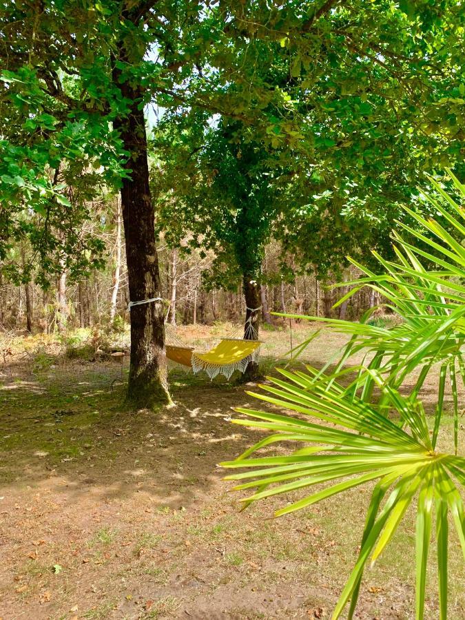 House De La Canopee, Swimming Pool, Lake, Forest, Large Garden And Wifi オータン エクステリア 写真