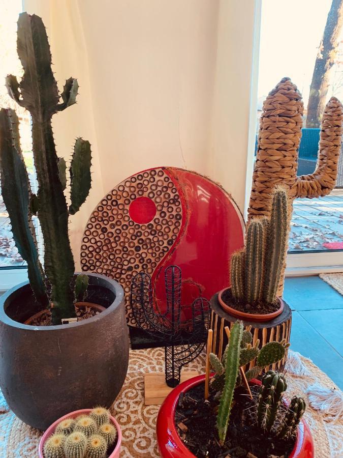 House De La Canopee, Swimming Pool, Lake, Forest, Large Garden And Wifi オータン エクステリア 写真
