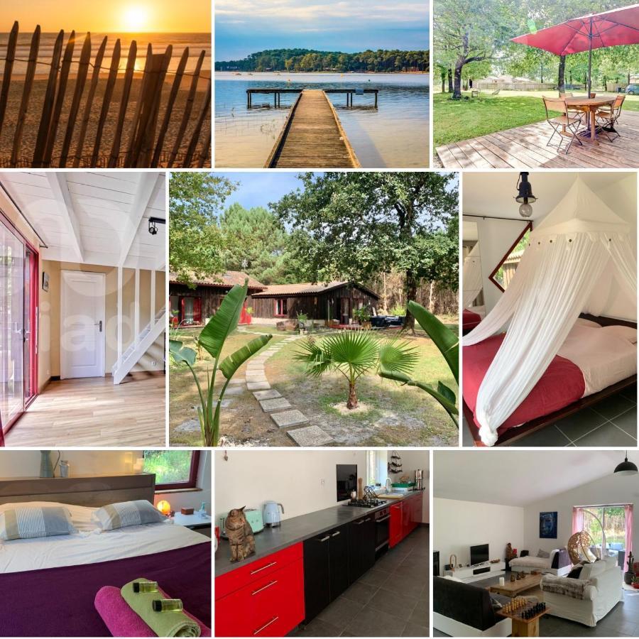 House De La Canopee, Swimming Pool, Lake, Forest, Large Garden And Wifi オータン エクステリア 写真