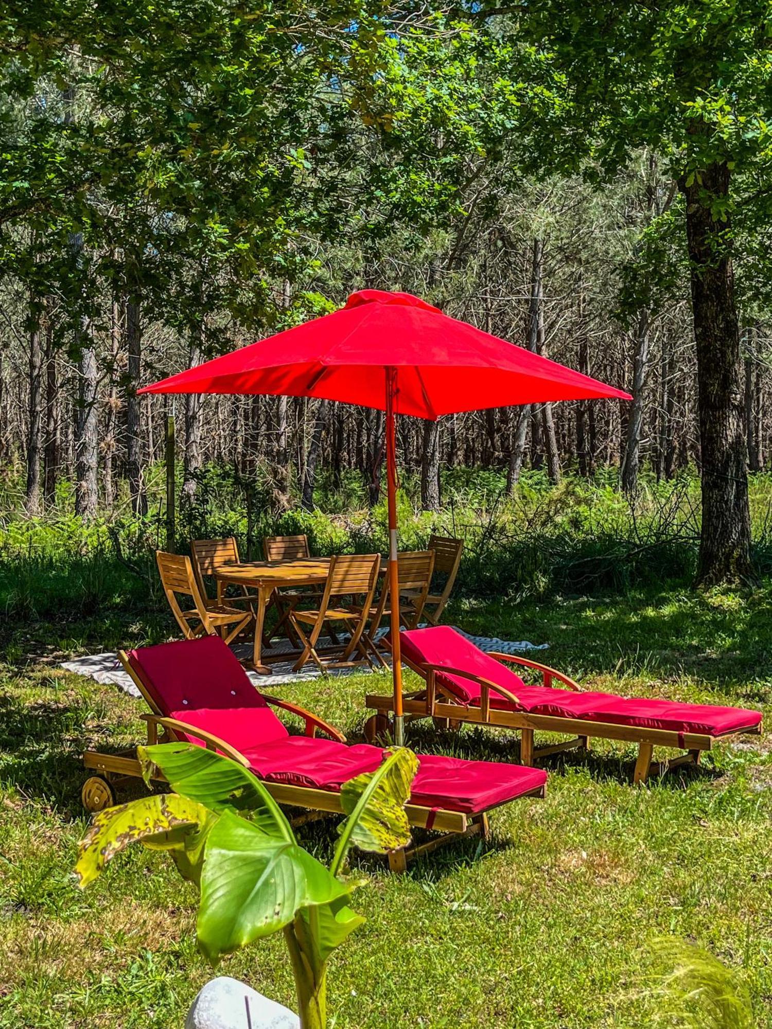 House De La Canopee, Swimming Pool, Lake, Forest, Large Garden And Wifi オータン エクステリア 写真