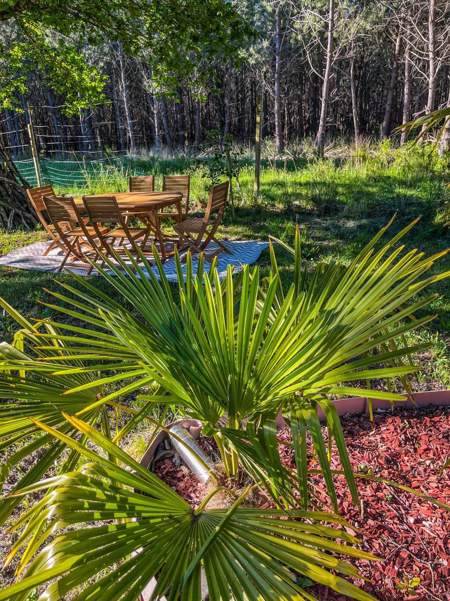 House De La Canopee, Swimming Pool, Lake, Forest, Large Garden And Wifi オータン エクステリア 写真