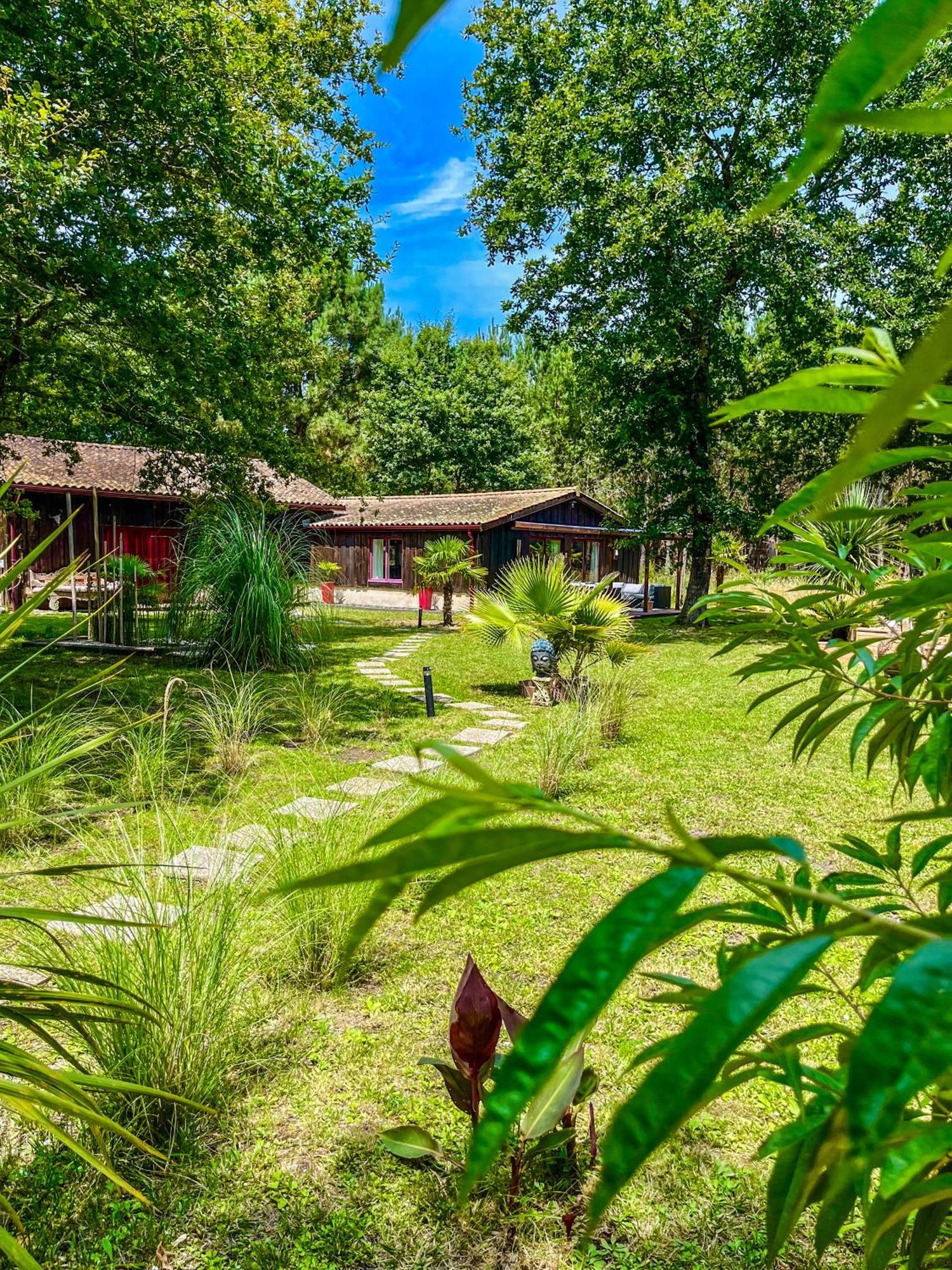 House De La Canopee, Swimming Pool, Lake, Forest, Large Garden And Wifi オータン エクステリア 写真